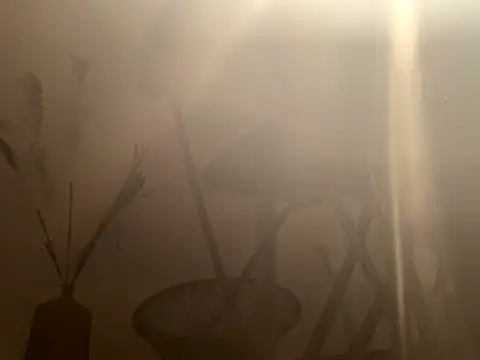 Snapshot of mesetti chatting on December 8, 3:13 pm mesetti online show from December 8, 3:13 pm