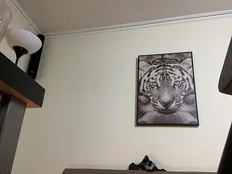 Snapshot of mesetti chatting on February 14, 8:05 pm mesetti online show from February 14, 8:05 pm