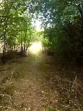 Snapshot of nataliecdlive chatting on September 13, 1:33 pm nataliecdlive online show from September 13, 1:33 pm