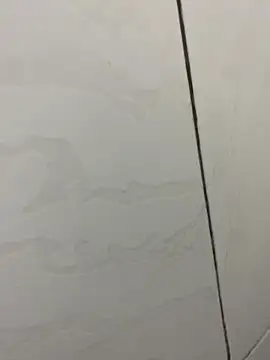 Snapshot of picatorta19 chatting on December 17, 6:25 pm picatorta19 online show from December 17, 6:25 pm