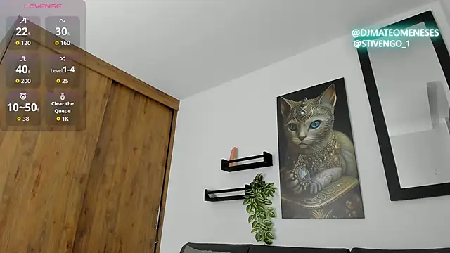 Snapshot of MattMeness chatting on November 28, 10:56 pm MattMeness online show from November 28, 10:56 pm