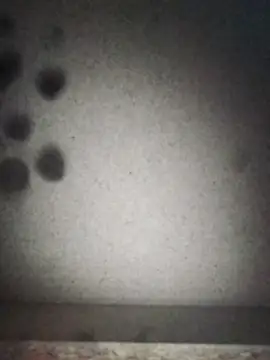 Leocesar37 online show from September 12, 7:19 am