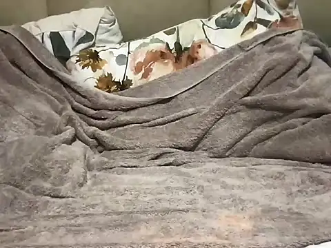 pe netrad0r online show from March 29, 2:22 am