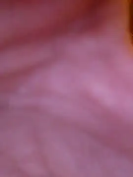 Snapshot of Freddyking146f chatting on November 30, 1:42 am Freddyking146f online show from November 30, 1:42 am