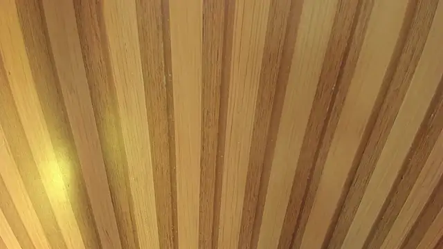 Taylor  cooper online show from April 18, 6:23 pm