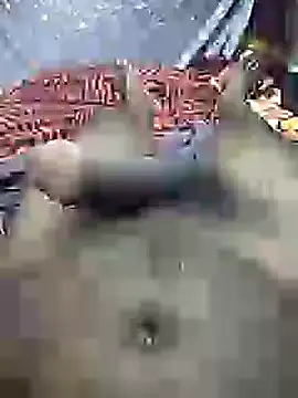 mallucallboy2104 online show from December 31, 4:27 am