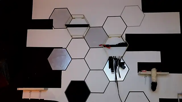 Snapshot of haileycat chatting on February 14, 3:33 am haileycat online show from February 14, 3:33 am