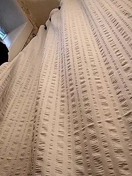 Snapshot of Brickstash chatting on November 4, 1:10 pm Brickstash online show from November 4, 1:10 pm