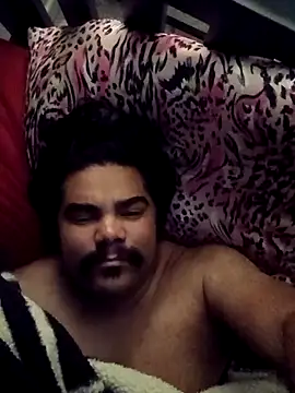 Snapshot of Brickstash chatting on November 30, 11:25 am Brickstash online show from November 30, 11:25 am