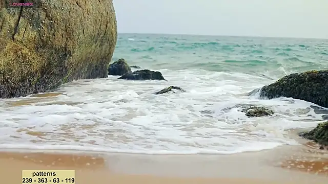 Snapshot of _sex_in_paradise_ chatting on January 16, 12:55 am sex in paradise online show from January 16, 12:55 am