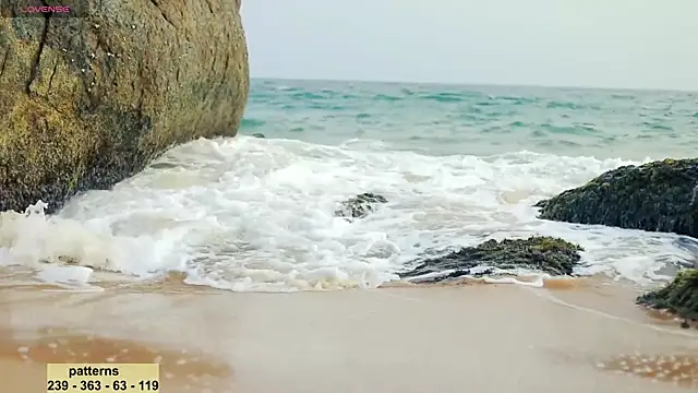 Snapshot of _sex_in_paradise_ chatting on January 16, 10:55 pm sex in paradise online show from January 16, 10:55 pm