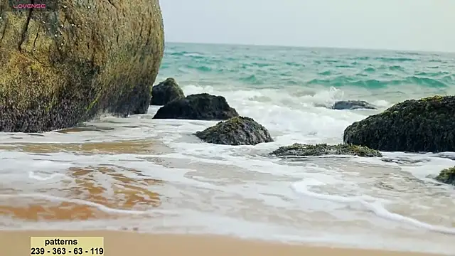 Snapshot of _sex_in_paradise_ chatting on January 20, 11:54 pm sex in paradise online show from January 20, 11:54 pm