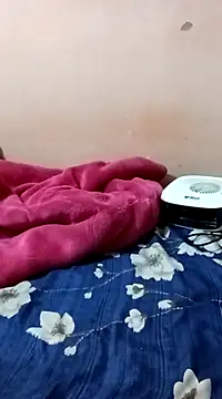 Snapshot of maftel chatting on December 27, 1:53 am maftel online show from December 27, 1:53 am