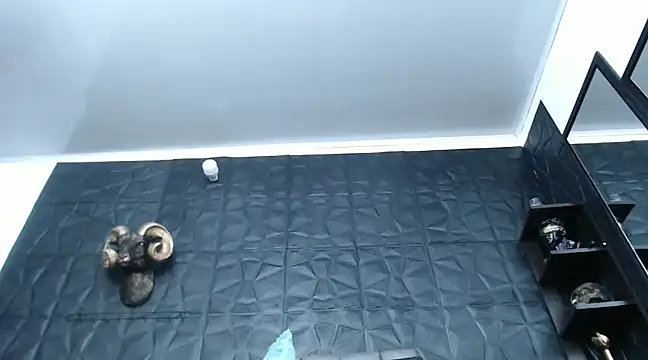 Snapshot of Hanna_Fox_69 chatting on December 29, 12:34 pm Hanna Fox 69 online show from December 29, 12:34 pm