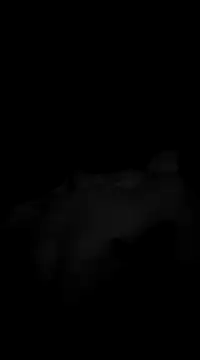 Snapshot of Deniell-01 chatting on March 19, 10:20 pm Deniell-01 online show from March 19, 10:20 pm