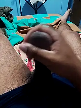 Jornaodaputaria online show from February 12, 2:21 pm