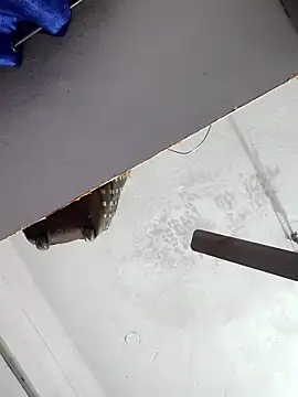 sana14 online show from December 17, 10:49 pm