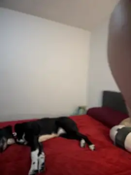 ariiel  online show from February 3, 10:43 pm