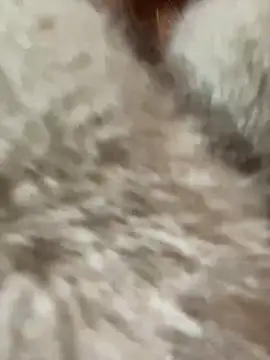 babydolll online show from January 10, 4:30 pm