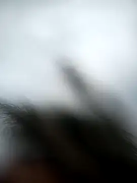 Snapshot of andres599 chatting on January 9, 5:22 pm andres599 online show from January 9, 5:22 pm