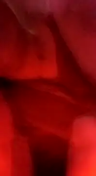 sosarax online show from February 5, 3:20 pm