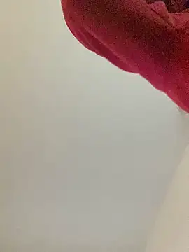 Snapshot of RicarBer chatting on February 7, 1:42 am RicarBer online show from February 7, 1:42 am