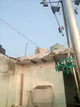 sailord online show from January 29, 11:30 am