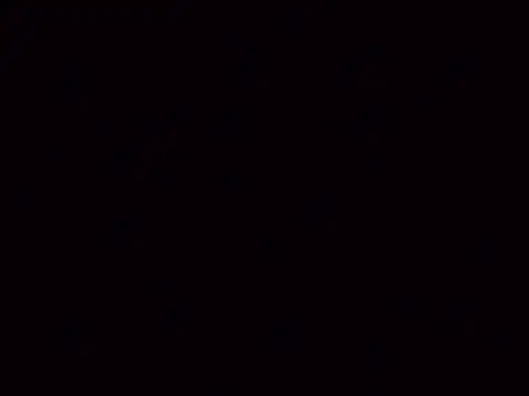 Nailahex online show from November 5, 10:59 am