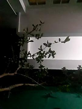 Jhon837486 online show from December 29, 2:21 pm