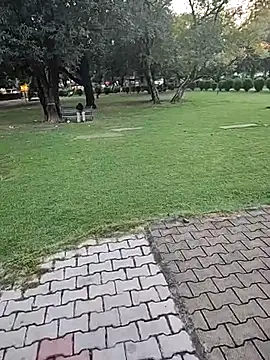 lofarinsan online show from October 6, 12:13 pm