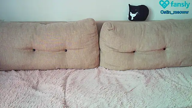 Ostin meow online show from February 22, 7:45 am