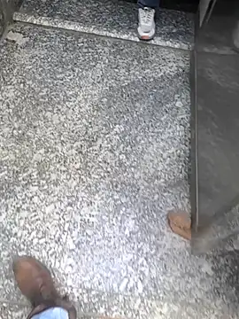 faaseel online show from February 17, 8:19 am