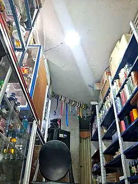 nidia2026 online show from October 21, 5:13 pm