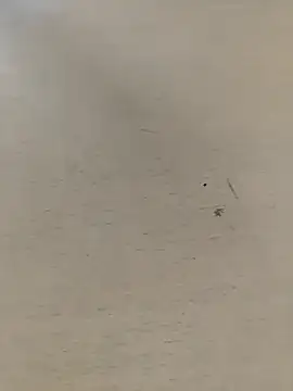 shale26 online show from September 28, 7:36 am