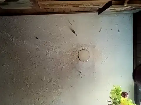 Snapshot of realoneNocap chatting on November 12, 5:57 pm realoneNocap online show from November 12, 5:57 pm