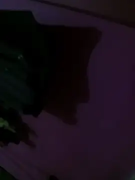 Snapshot of Mastar212 chatting on December 2, 8:26 pm Mastar212 online show from December 2, 8:26 pm