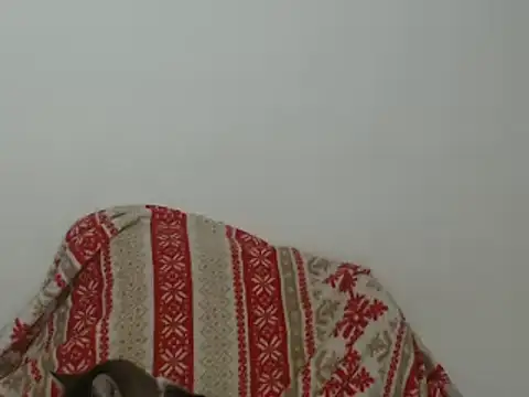 Snapshot of Hannabeckboobs chatting on January 12, 5:03 am Hannabeckboobs online show from January 12, 5:03 am