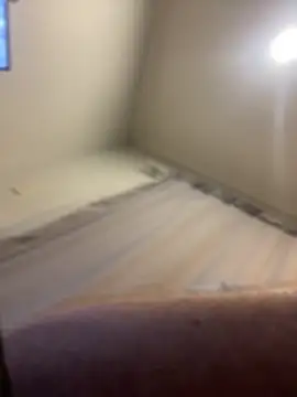 FrankJake99 online show from November 5, 11:49 pm