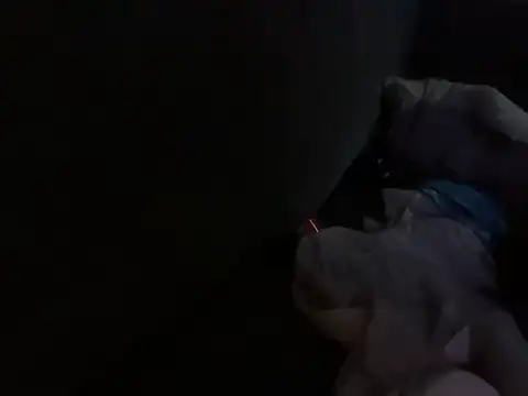 Snapshot of houy111111 chatting on October 18, 4:52 pm houy111111 online show from October 18, 4:52 pm