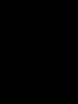 Snapshot of Feli230990 chatting on October 8, 7:50 am Feli230990 online show from October 8, 7:50 am