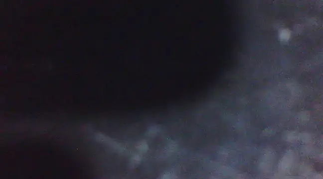 Penis58 online show from March 10, 6:45 pm