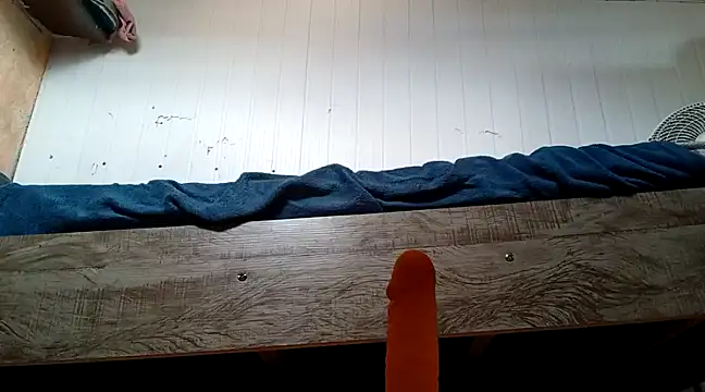 frotasso online show from January 22, 10:40 am