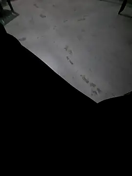 Ritikdesi online show from March 3, 2:36 am