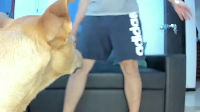 Snapshot of boss_of_cash chatting on October 18, 1:30 am boss of cash online show from October 18, 1:30 am