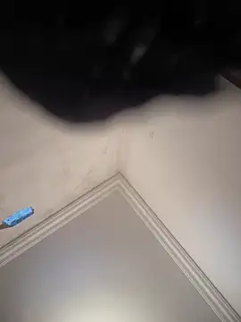 hot girl dina online show from February 8, 11:01 am