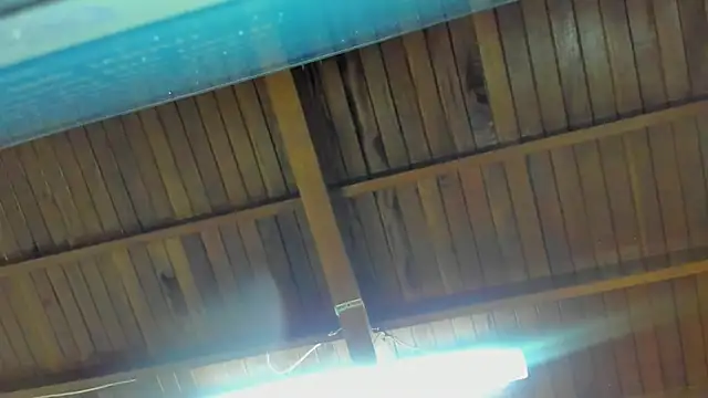 jeicob gagnon online show from September 15, 2:00 am