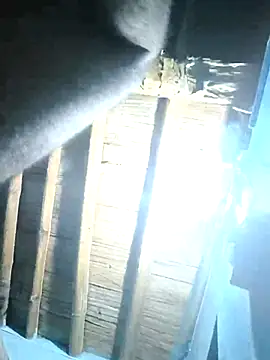 sasuke782 online show from February 25, 1:39 pm