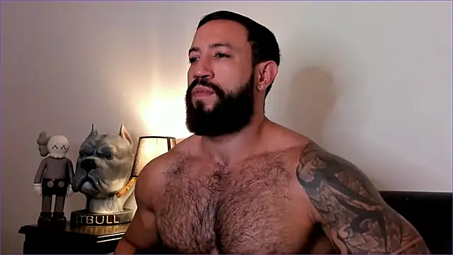 BradLeon  online show from November 29, 11:57 am