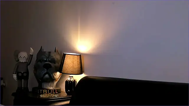 BradLeon  online show from December 22, 9:23 pm