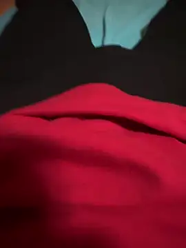 Snapshot of Dvddd chatting on November 9, 12:47 pm Dvddd online show from November 9, 12:47 pm